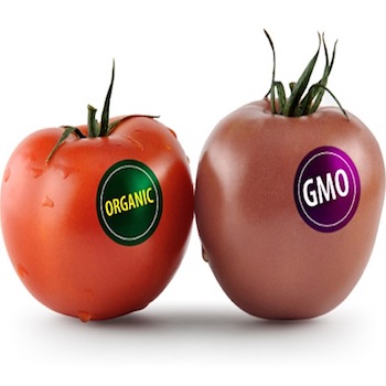 GMO022719.jpg