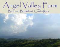 Angel Valley farms