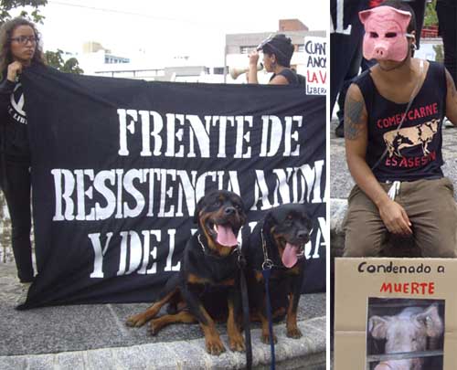 animal rights rally