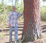 big tree