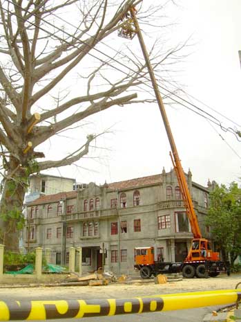 foreign ministry tree