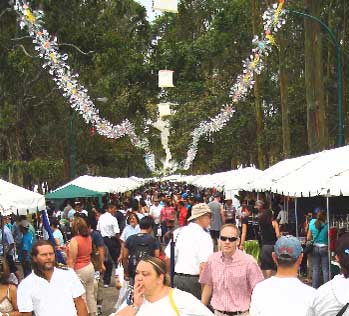 crowd at arts festival
