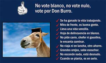 Don Burro
