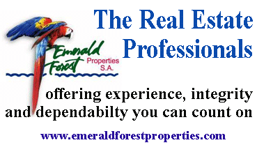 Emerald Forest Property