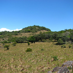project view