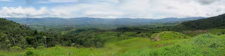 lantz panoramic