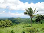 Las Brisas view