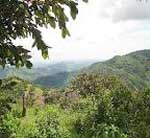 scenic view