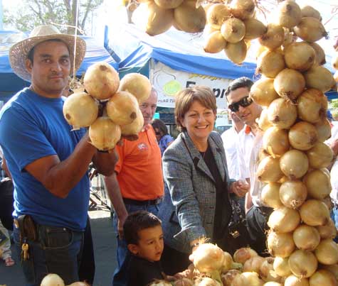 Onion fair