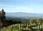 view from home