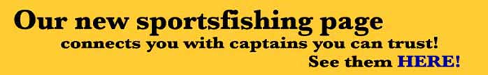 Sports fishing logo