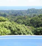 View from the pool.