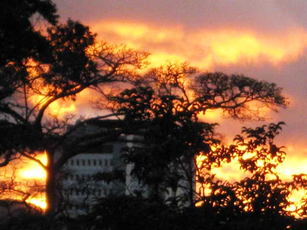 Cota Rican sunset