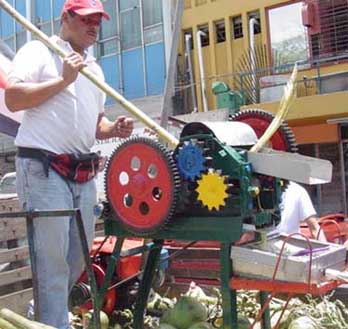 trapiche