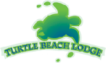 Turtles are coming
