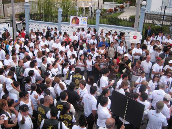 sea of white