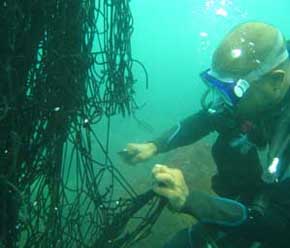 diver and net