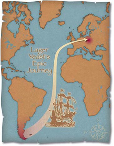 yeast trip